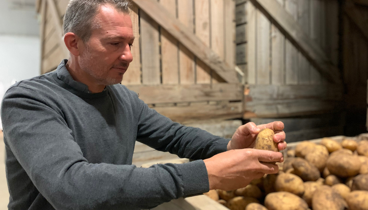 Création de notre 1ère filière pour l'approvisionnement des pommes de terre